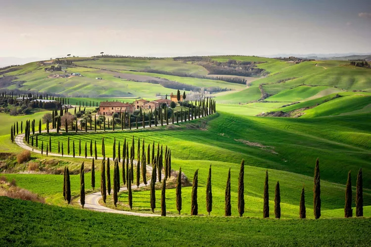 Val D'Orcia — Cartello QR GetYourGuide Toscana