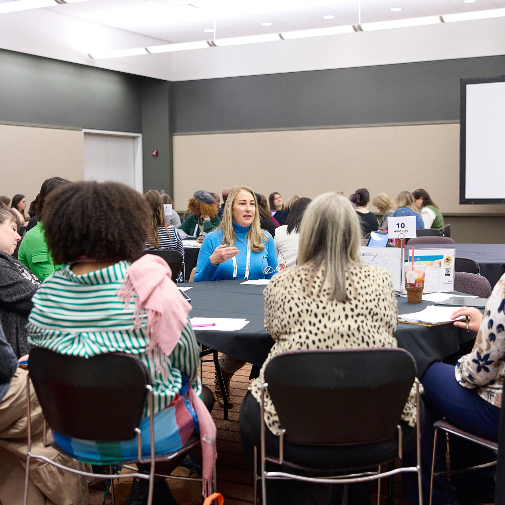 About the Lesson Roundtables