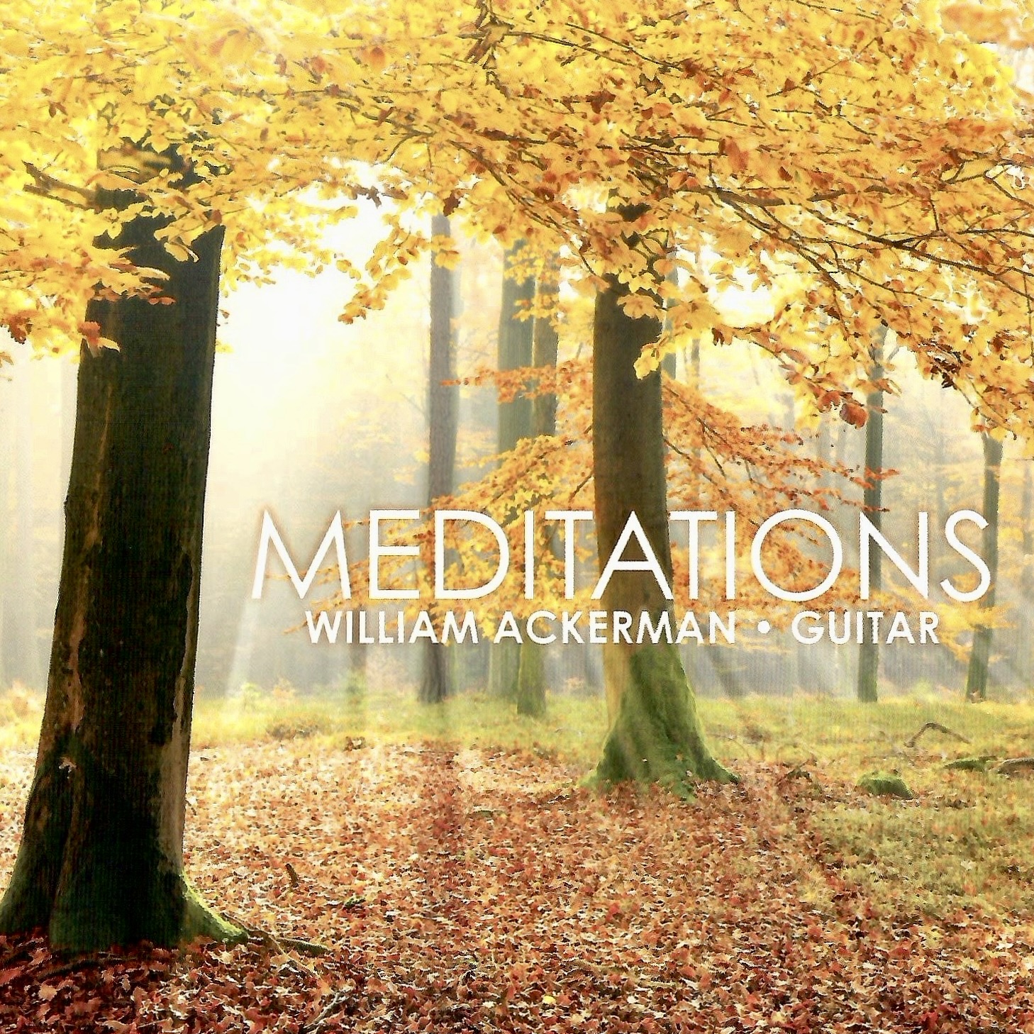 Meditations - Yellow — will ackerman