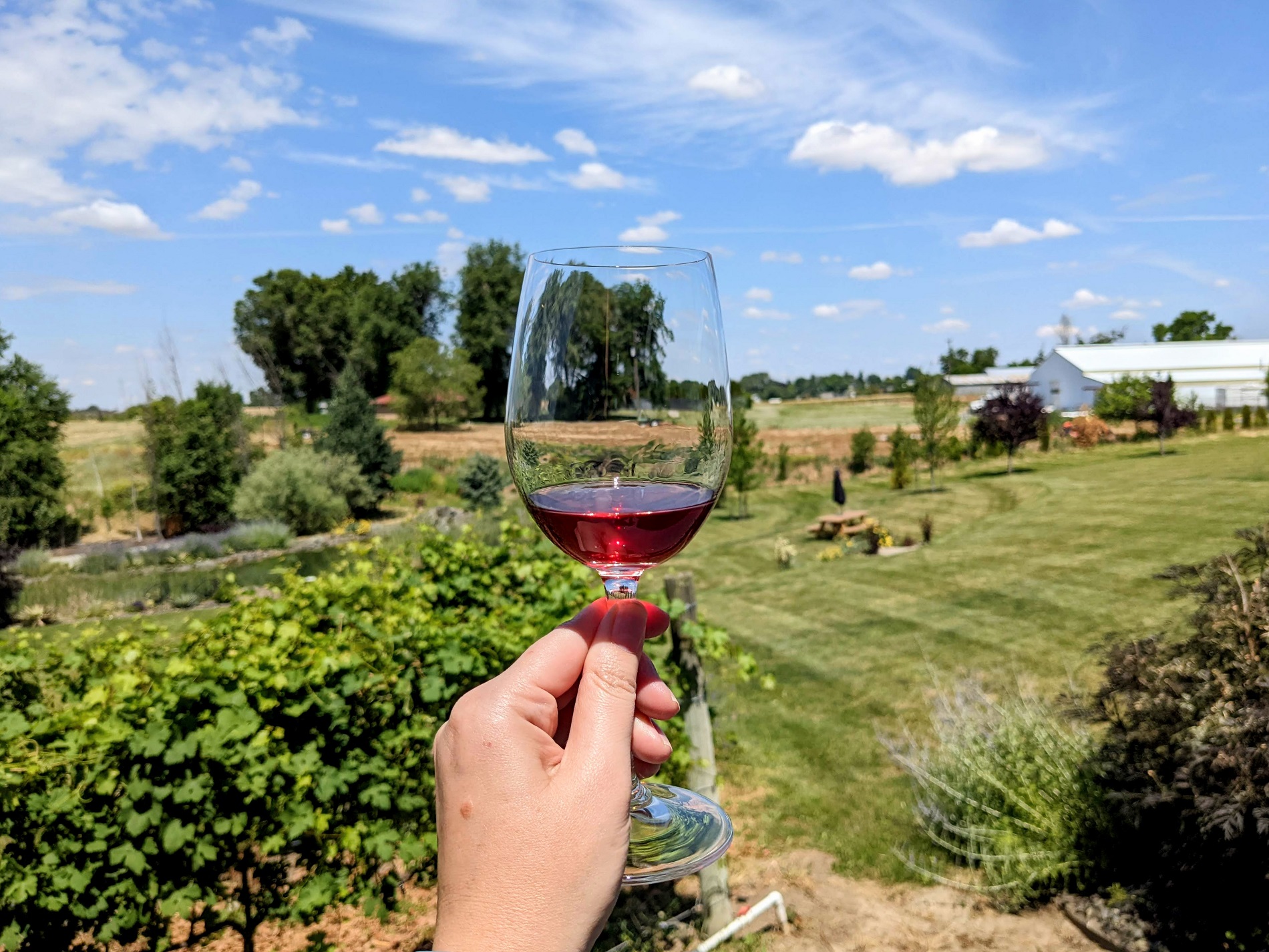 Walla Walla Premium Reds 6-Pack