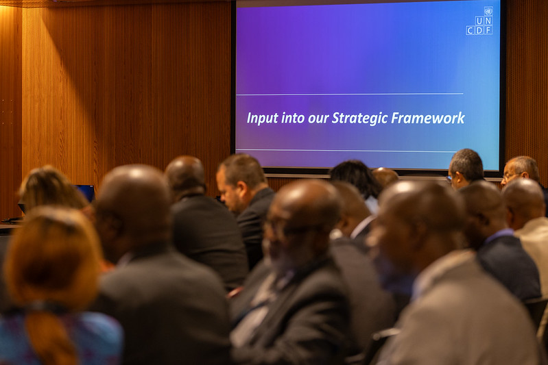 Consultation at the 2025 Conference of the Parties to the BRS COP